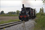 Im Elsässer Ried mit der CFTR.

030 TB 134  Theodor  bei Kunheim. September 2024.