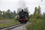 Im Elsässer Ried mit der CFTR.

030 TB 134  Theodor  bei Kunheim. September 2024.