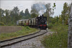 Im Elsässer Ried mit der CFTR.

030 TB 134  Theodor  bei Kunheim. September 2024.