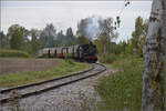 Im Elsässer Ried mit der CFTR.

030 TB 134  Theodor  bei Kunheim. September 2024.