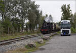 Im Elsässer Ried mit der CFTR.