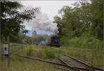 Im Elssser Ried mit der CFTR.

Abfahrt von 030 TB 134  Theodor  aus dem in Volgelsheim umbenannten  Neu-Breisacher Feldbahnhof .Der Blick schweift ber dessen briggebliebenen vier Gleise, dann zum Weltkulturerbe, der Festungsstadt Neu-Breisach, bis in die Vogesen. Zwischen Pfaffenheimerkopf und Bildstckle lugt noch der weiter entfernte Rainkopf mit 1305 m Hhe hervor. Volgelsheim, September 2024.