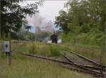 Im Elsässer Ried mit der CFTR.

Abfahrt von 030 TB 134  Theodor  aus dem in Volgelsheim umbenannten  Neu-Breisacher Feldbahnhof . Volgelsheim, September 2024.