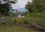 Im Elsässer Ried mit der CFTR.

Abfahrt von 030 TB 134  Theodor  aus dem in Volgelsheim umbenannten  Neu-Breisacher Feldbahnhof . Der Blick schweift über dessen übriggebliebenen vier Gleise, dann zum Weltkulturerbe, der Festungsstadt Neu-Breisach, bis in die Vogesen. Zwischen Pfaffenheimerkopf und Bildstöckle lugt noch der weiter entfernte Rainkopf mit 1305 m Höhe hervor. Volgelsheim, September 2024.