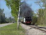 Chemin de Fer Touristique du Rhin, das Kleinod im Auwald bei Neu-Breisach.