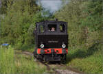Im Elssser Ried mit der CFTR.