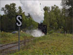 Im Elssser Ried mit der CFTR.