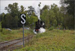 Im Elssser Ried mit der CFTR.