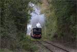 Im Elsässer Ried mit der CFTR.