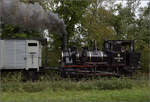 Im Elsässer Ried mit der CFTR.