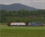 Auf der badischen Hauptbahn im südlichen Teil ist CC 37013 von VFLI Akiem sicherlich eine Überraschung, hier noch mitten im starken Regen, während von hinten die Sonne schon