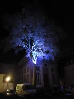(148'237) - Weihnachtsmarkt in Colmar am 7.