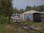 Im Elssser Ried bei der CFTR.

Y 2402 trifft von ihrer Verfolgungsfahrt auf der Strecke im Depot der CFTR ein. Ihre Aufgabe ist nun beendet. Sie wird von der blauen LKM-Lok im Hintergrund abgelst werden. Volgelsheim, April 2019.