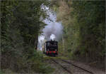 Im Elsässer Ried mit der CFTR.