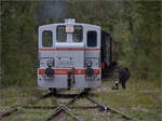 Im Elsässer Ried mit der CFTR.

Anschließend muss Y 2402 noch einmal Platz machen, damit sie dem Museumszug hinterherfahren kann. Sans-Souci, Artzenheim, September 2024.