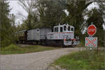 Im Elsässer Ried mit der CFTR.