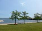 (153'036) - Bume am Hafen von Milwaukee am 17.