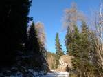 (167'637) - Waldstrsschen bei Tenna am 5.