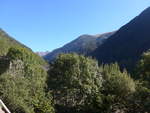 (185'340) - Bume am 27.