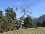 (185'385) - Mirador del Roc del Quer am 27.