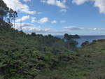 (190'544) - Wald und Insel am 20.
