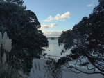 (190'599) - Insel und Bume am 20.