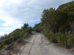 (190'685) - Weg am Mount Maunganui am 21.