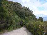 (190'686) - Weg am Mount Maunganui am 21.