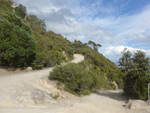 (190'696) - Weg am Mount Maunganui am 21.