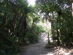 (190'703) - Weg am Mount Maunganui am 21.