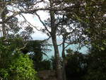 (190'714) - Bume am Mount Maunganui am 21.
