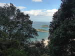 (190'751) - Bume am Mount Maunganui am 21.