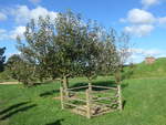 (190'889) - Baum und Tiergatter im Hobbiton am 22.