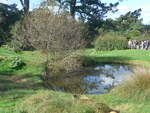 (190'891) - Baum und kleines Seelein im Hobbiton am 22.