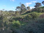 (190'905) - Hobbiton-Landschaft mit Bumen am 22.