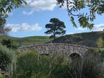 (190'974) - Brcke und Baum im Hobbiton am 22.