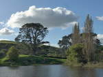 (190'978) - Hobbiton-Landschaft mit Bumen und See am 22.