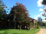 (190'980) - Baum mit Restaurant im Hobbiton am 22.