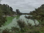 (191'155) - See und Bume im Wai-O-Tapu Thermal Wonderland am 23.