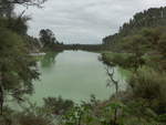 (191'156) - See und Bume im Wai-O-Tapu Thermal Wonderland am 23.