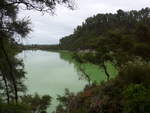 (191'157) - See und Bume im Wai-O-Tapu Thermal Wonderland am 23.