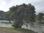 (191'876) - Baum am 29.