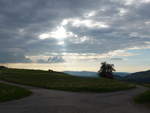 (192'964) - Landschaft mit Baum am 11.