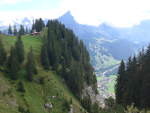 (195'960) - Alphtte und Tannen mit Blick auf Kandersteg am 18.