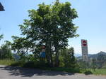 (206'889) - Baum am 30.