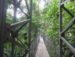 (211'184) - Puente El Piln im Mistico am 14.