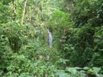 (211'187) - Catarata Morpho Azul im Mistico am 14.