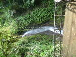 (211'191) - Catarata Morpho Azul im Mistico am 14.