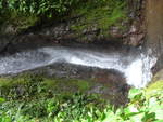 (211'194) - Catarata Morpho Azul im Mistico am 14.