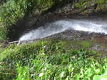 (211'195) - Catarata Morpho Azul im Mistico am 14.